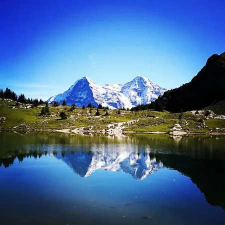 Appartement Concierge, Swiss Alps Scenic Views By Swisshut *