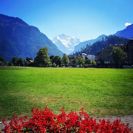 Concierge, Swiss Alps Scenic Views By Swisshut